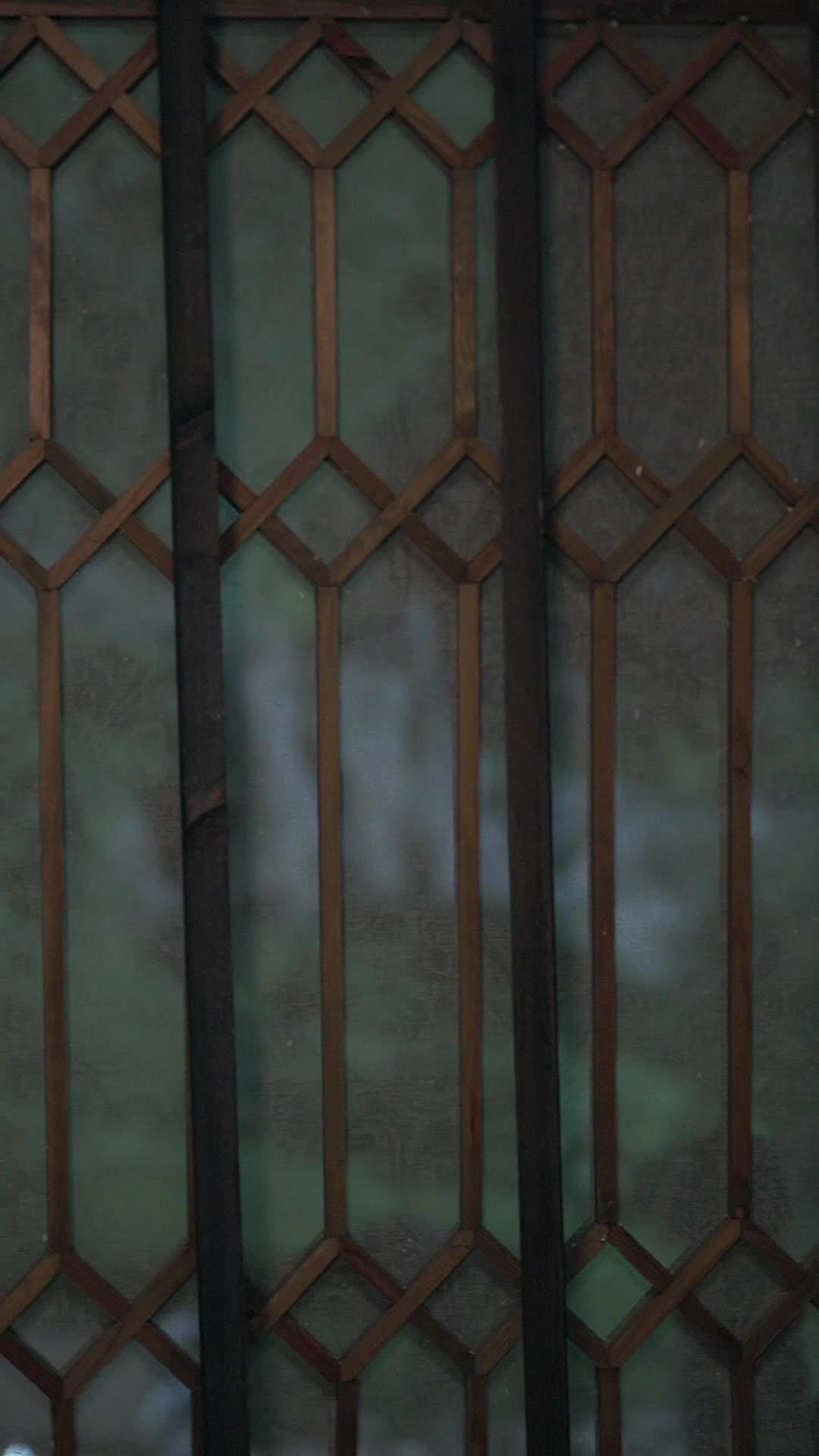 Episodio 1 - Bajo la Piel de mi Hermana